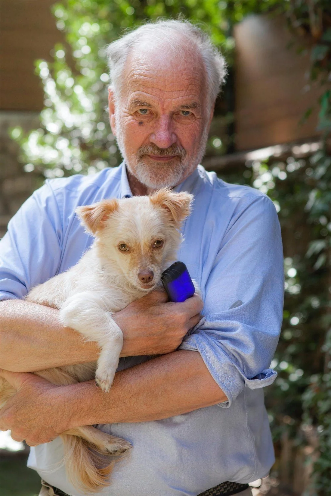 Le Dr David O'Hare tient un petit chien dans ses bras, le dispositif illuminé contre lui
