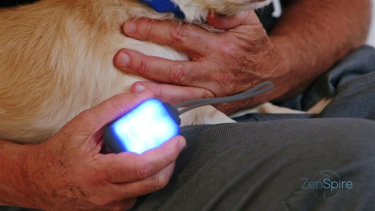 Une main tient le dispositif ZenSpire Pets allumé, un chien allongé juste à côté
