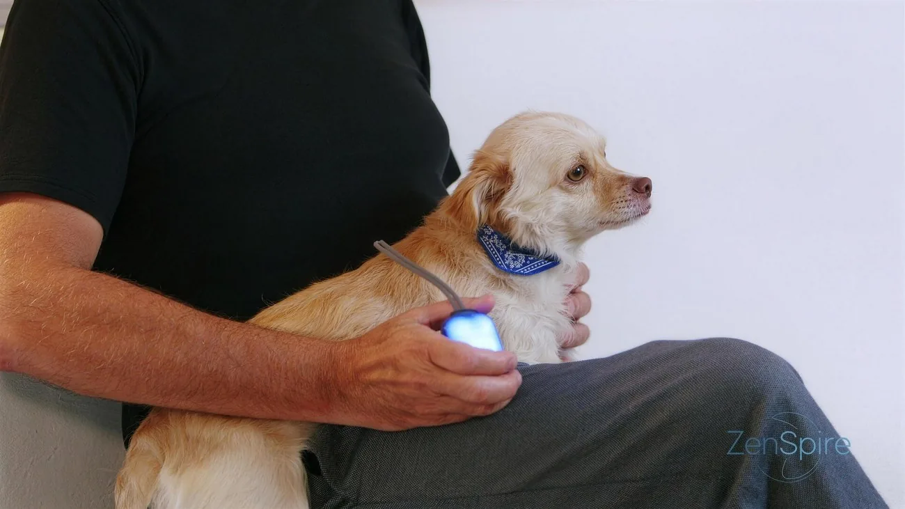 Un homme assis tient son chien contre lui, le dispositif ZenSpire Pets illuminé dans la main